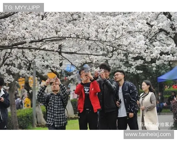 武汉乒乓球队的节奏与风采探秘:从训练到比赛的全景展现 武汉乒乓球队的节奏与风采探秘:从训练到比赛的全景展现