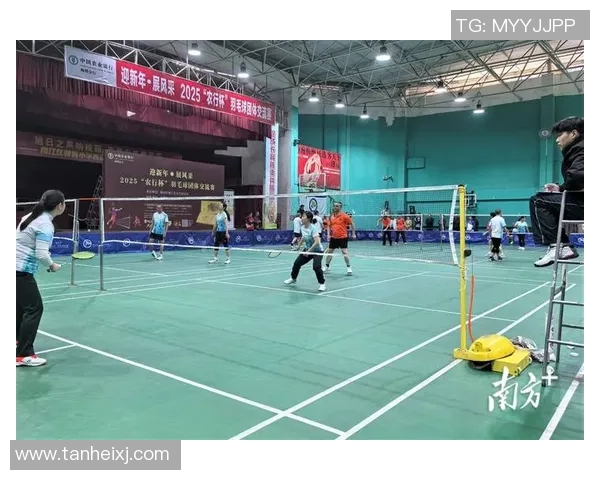 武汉羽毛球队个人能力深度解析与发展潜力探讨