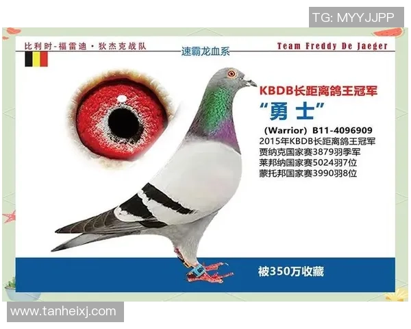 重庆网球队运营分析：成功经验与不足之处的全面探讨