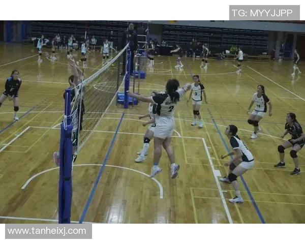 聚焦排球：西安排球队的团队协作话题