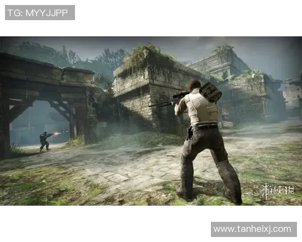 最新和平精英灵活性TOP10:V5领跑_1 最新和平精英灵活性TOP10:V5领跑_1