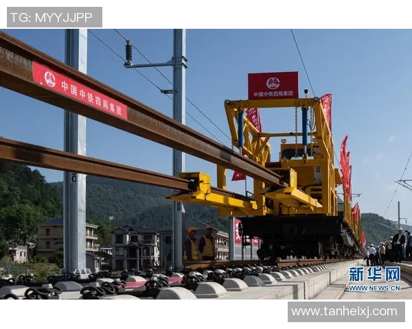 专访周丽:解密飞盘成功之道 专访周丽:解密飞盘成功之道