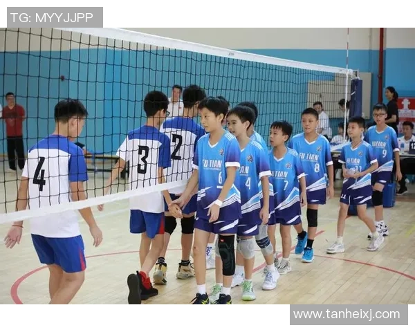 排球纪实：记录深圳排球队的奋斗经历