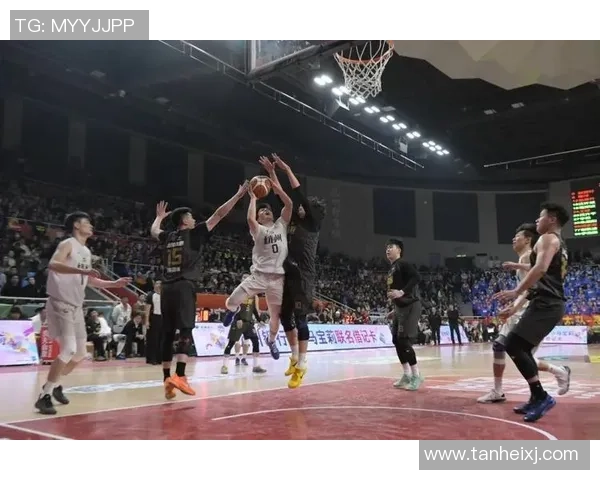 聚焦篮球：杭州篮球队的力量话题