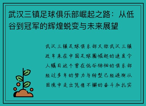 武汉三镇足球俱乐部崛起之路：从低谷到冠军的辉煌蜕变与未来展望