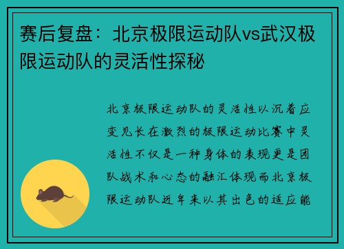 赛后复盘：北京极限运动队vs武汉极限运动队的灵活性探秘