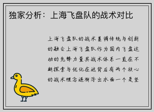独家分析：上海飞盘队的战术对比