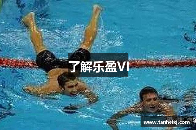 了解乐盈VI